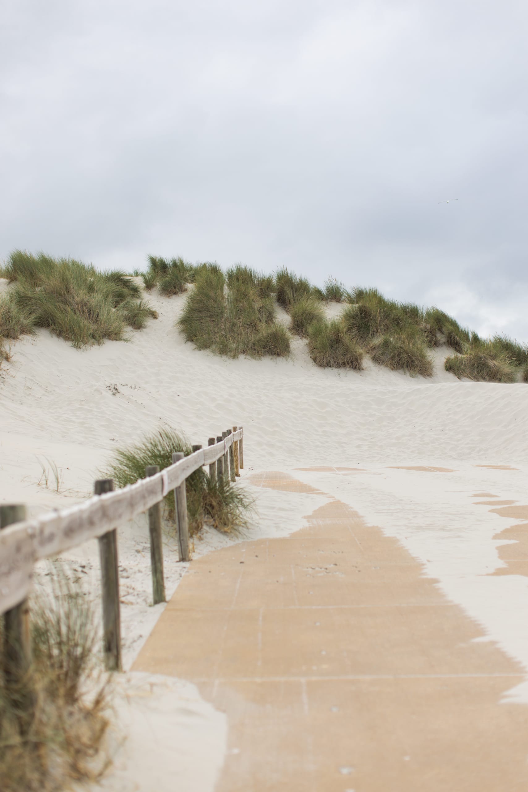 Ameland, Ameland