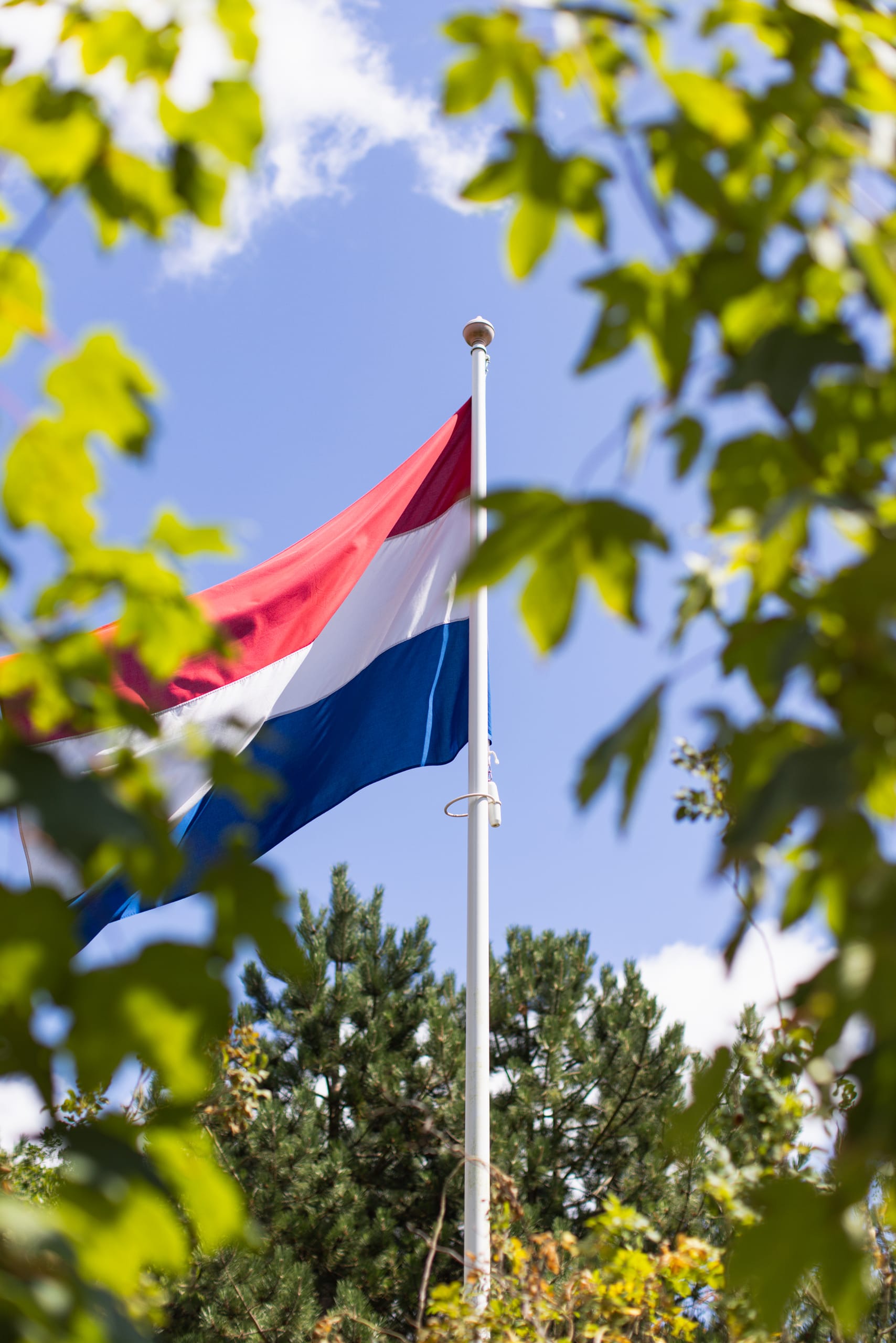 Ameland, Ameland