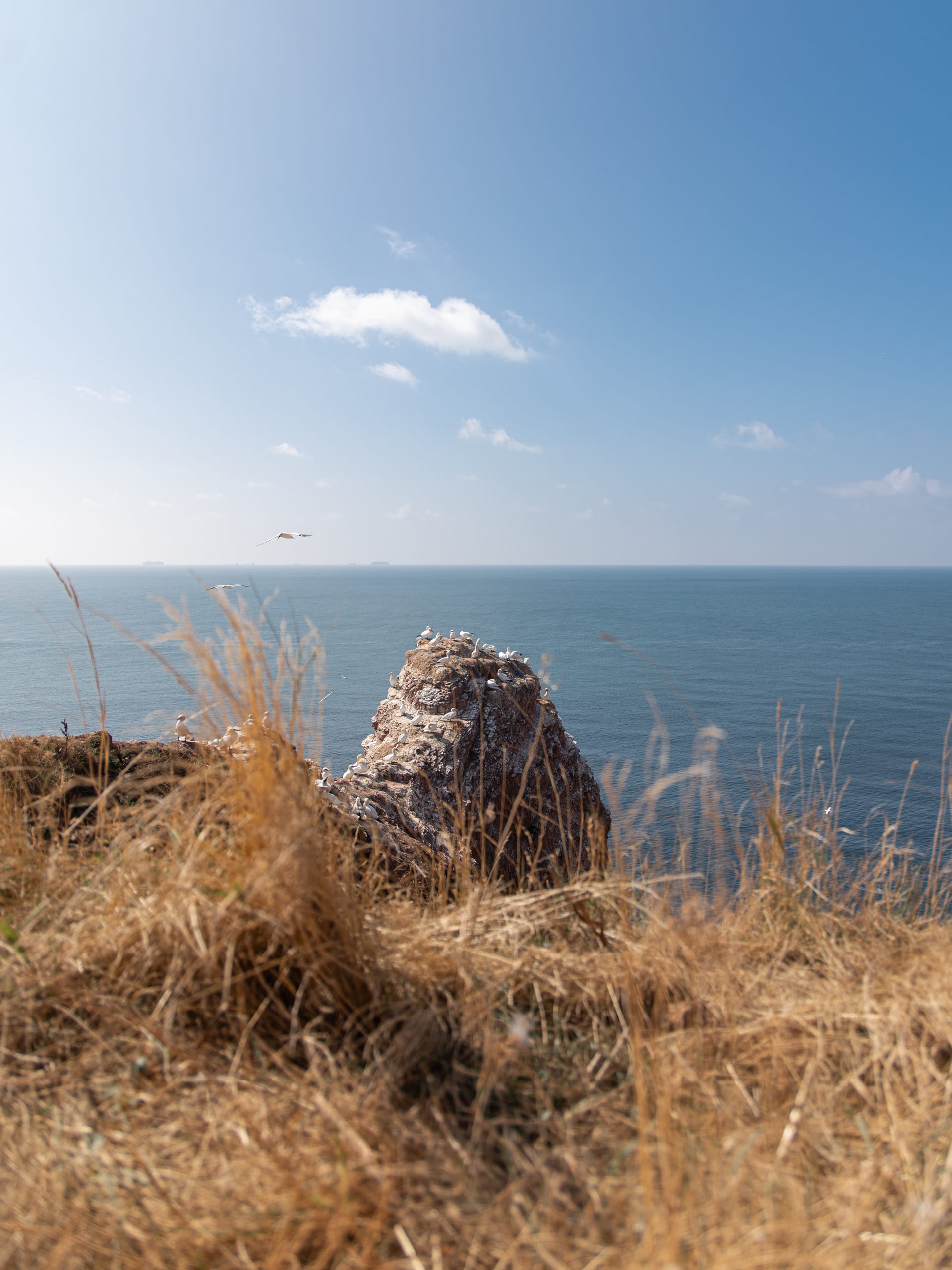Cuxhaven, Cuxhaven