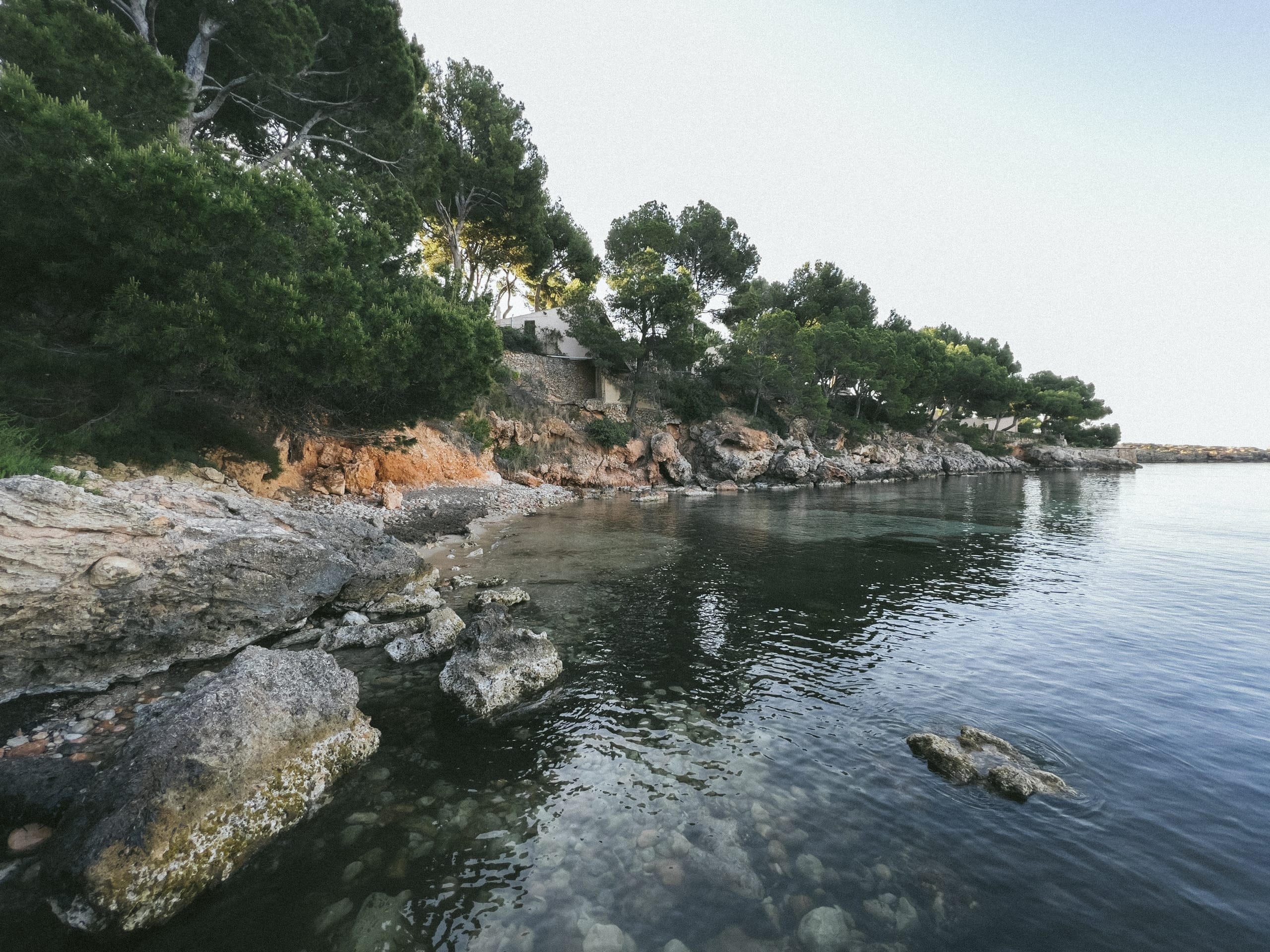 Mallorca, Mallorca