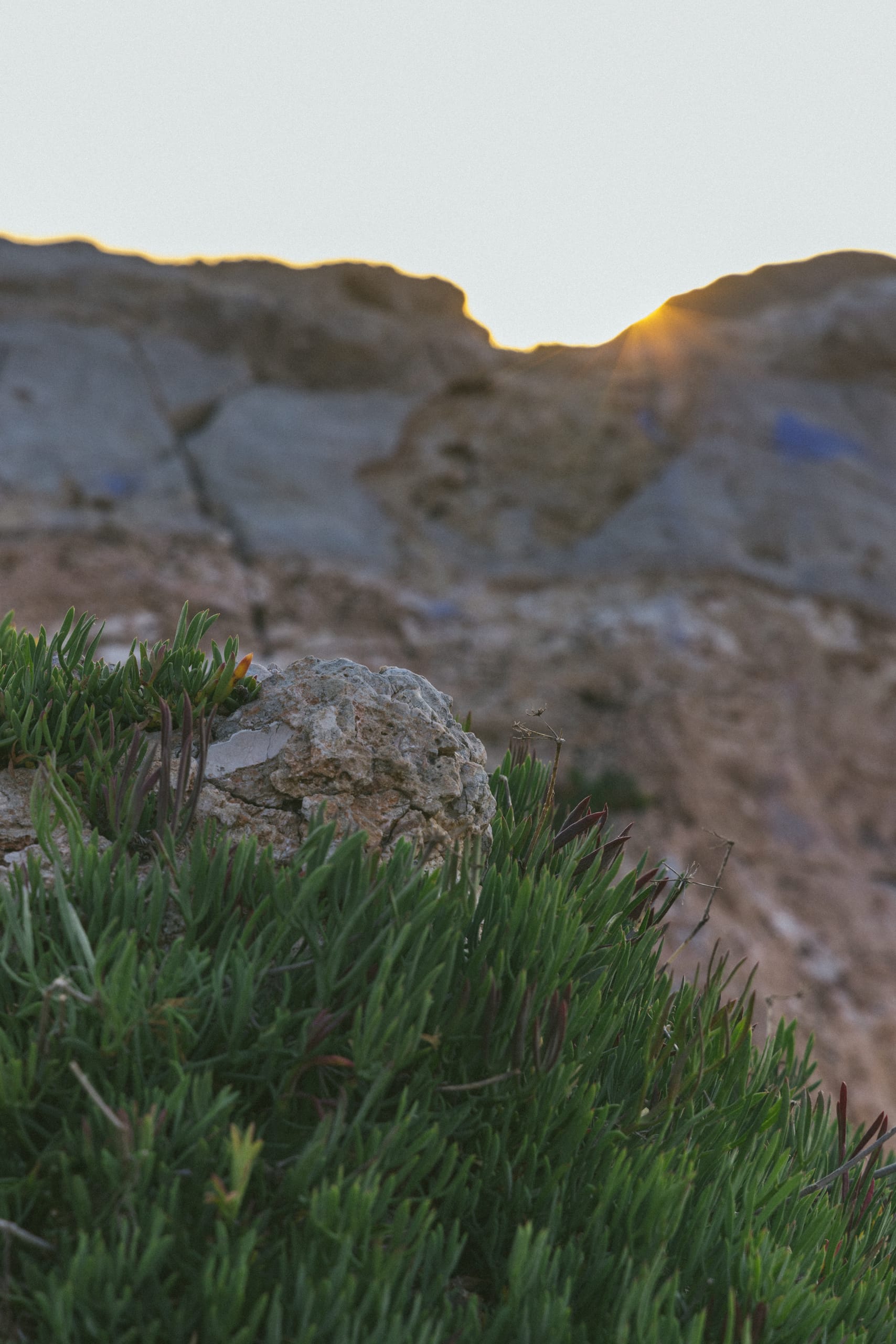 Mallorca, Mallorca