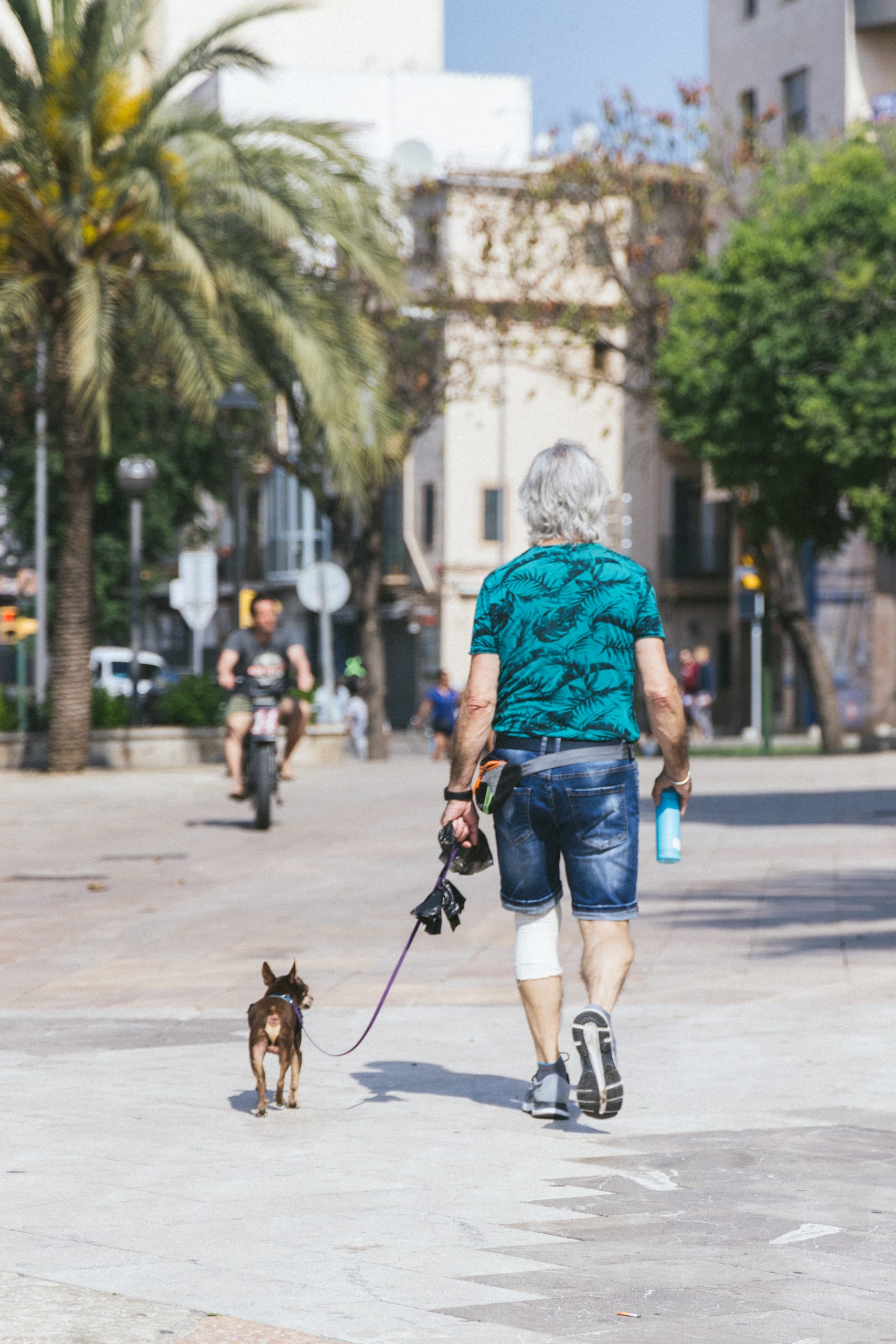 Mallorca, Mallorca