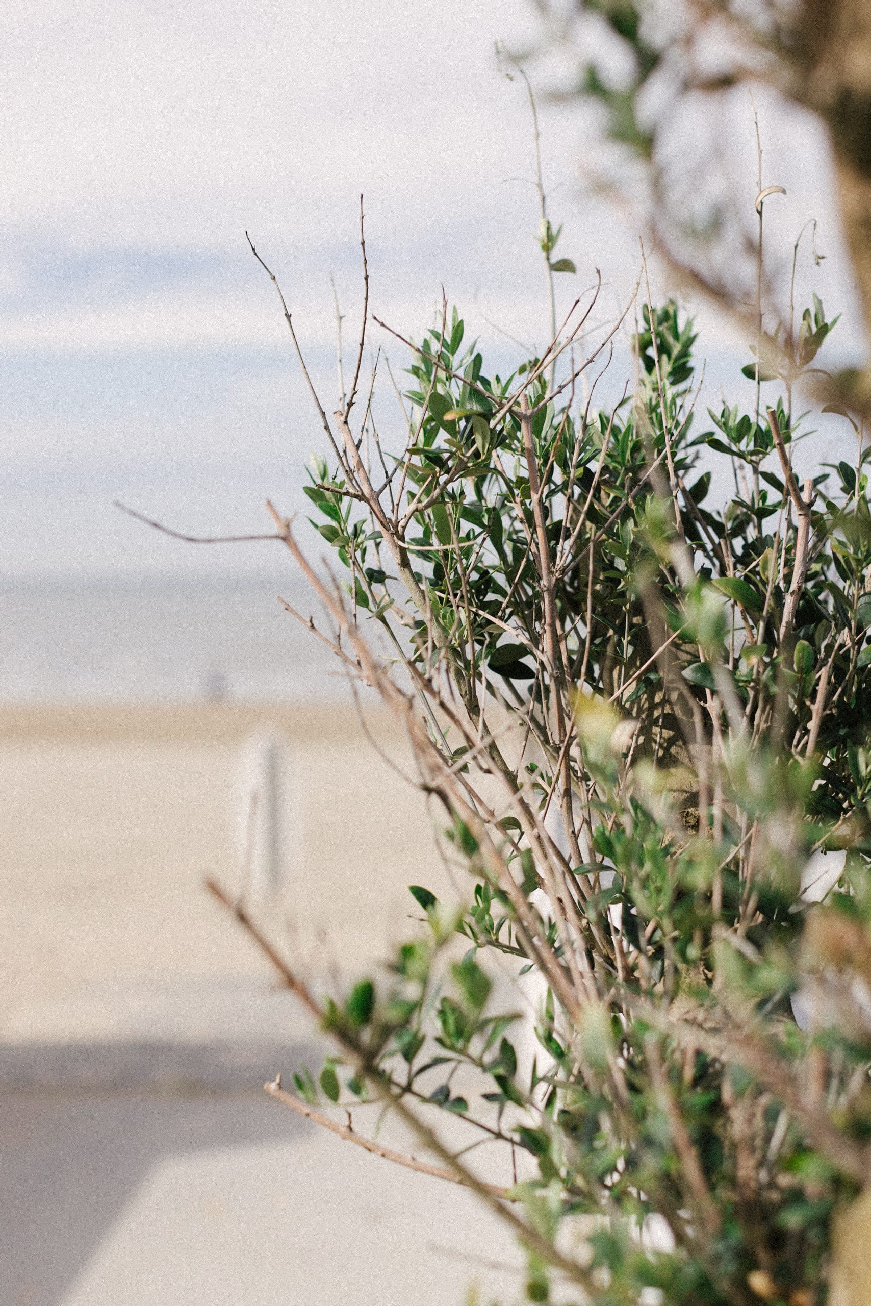 Zandvoort, Zandvoort
