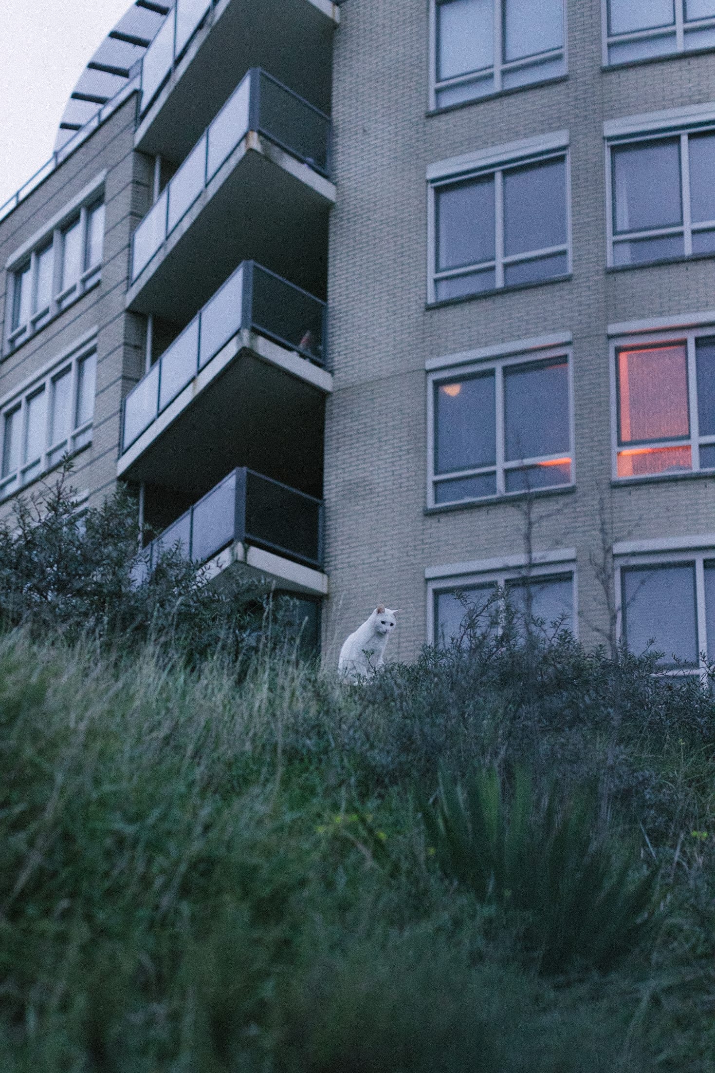 Zandvoort, Zandvoort
